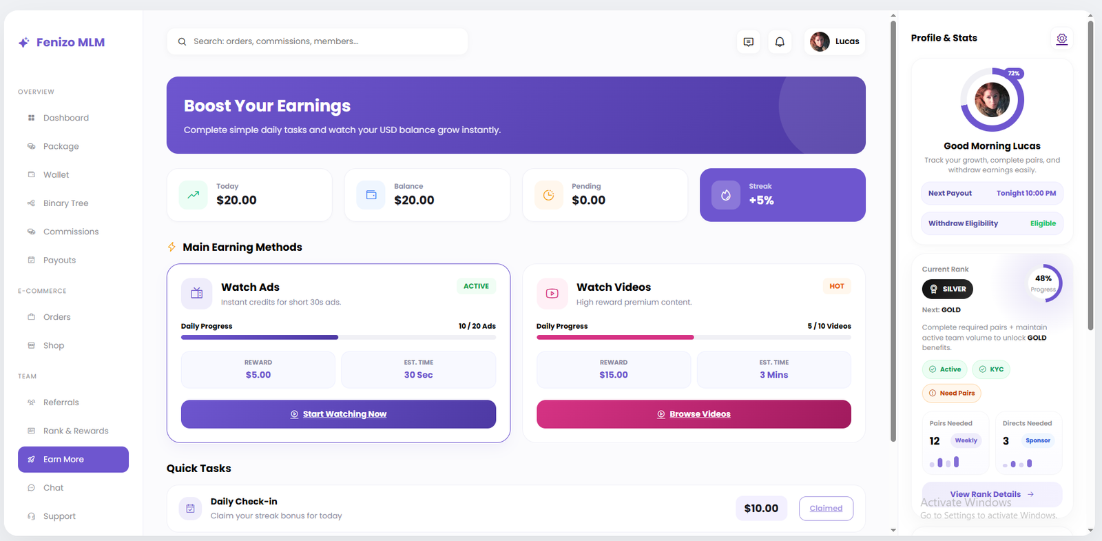 Earnings and wallet history section